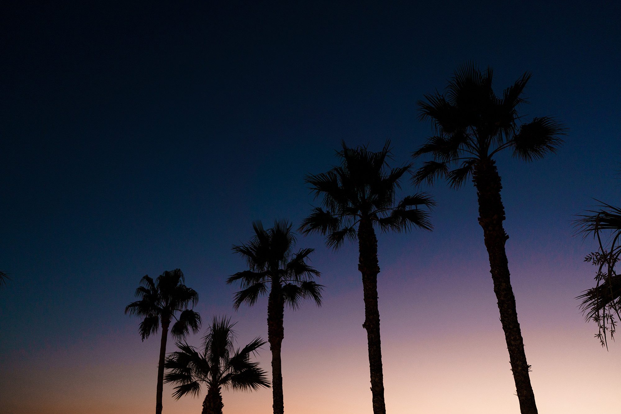 Authentic Sicilian Wedding